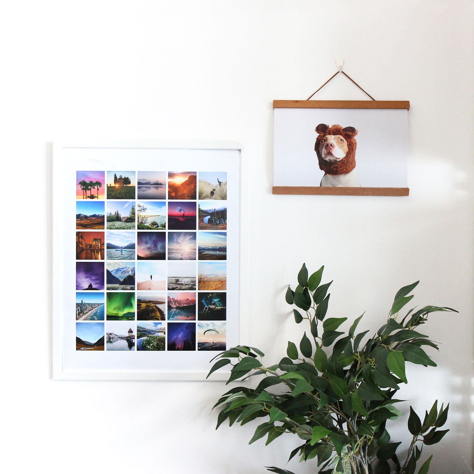 Your Go To Guide For Photo Print And Paper Sizes Print For Fun Blog
